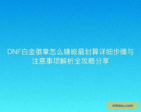 DNF白金徽章怎么镶嵌最划算详细步骤与注意事项解析全攻略分享