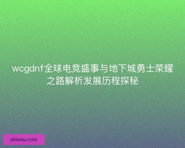 wcgdnf全球电竞盛事与地下城勇士荣耀之路解析发展历程探秘
