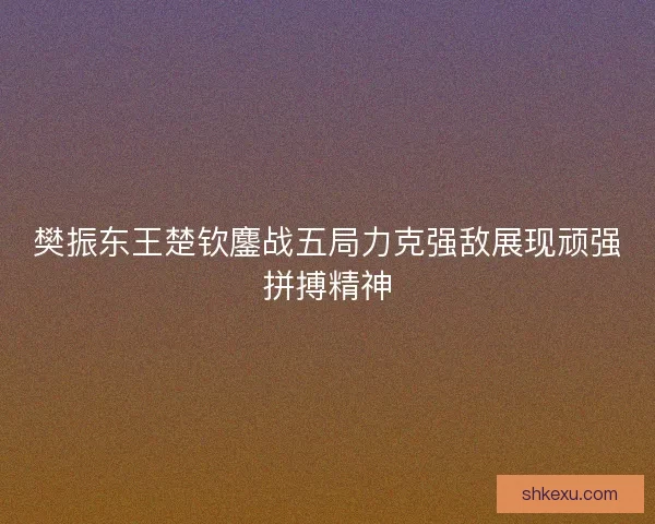 樊振东王楚钦鏖战五局力克强敌展现顽强拼搏精神