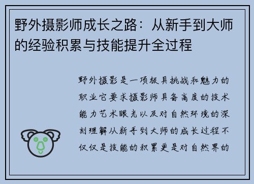 野外摄影师成长之路：从新手到大师的经验积累与技能提升全过程